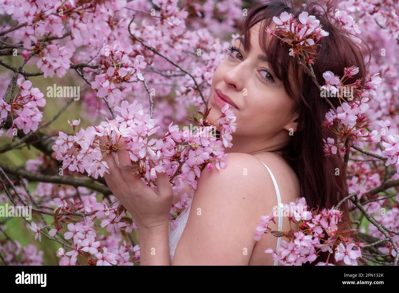 sensuale, seducente, ritratto di una donna bruna sexy, giovane, innocente, in abito bianco in fiore rosa di fiori d'albero nel risveglio primaverile di aprile, sakura, Foto Stock