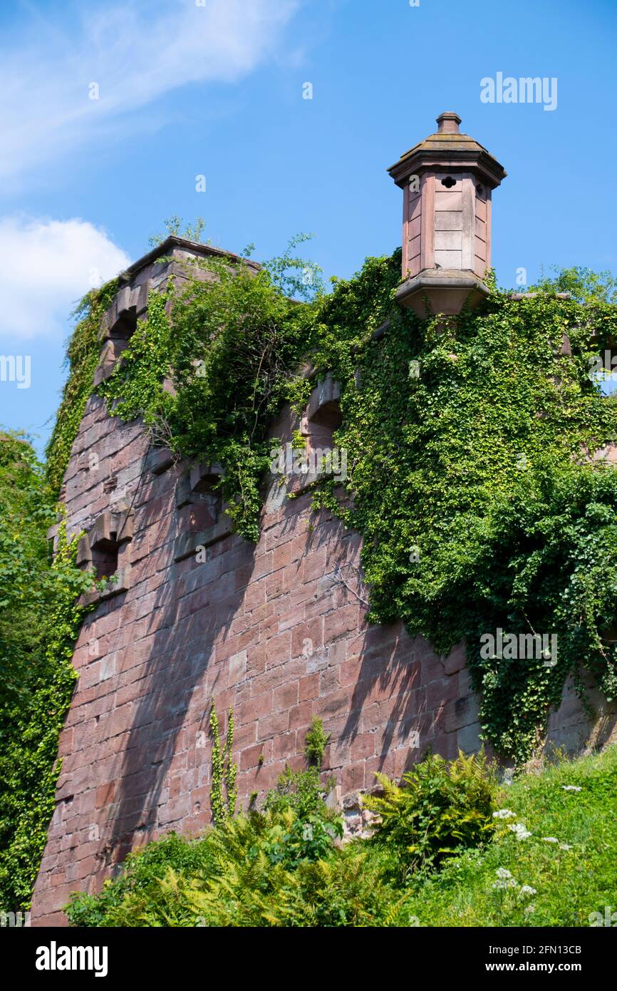 Palazzo Heidelberg in Germania in una giornata di sole e cielo blu s. Foto Stock