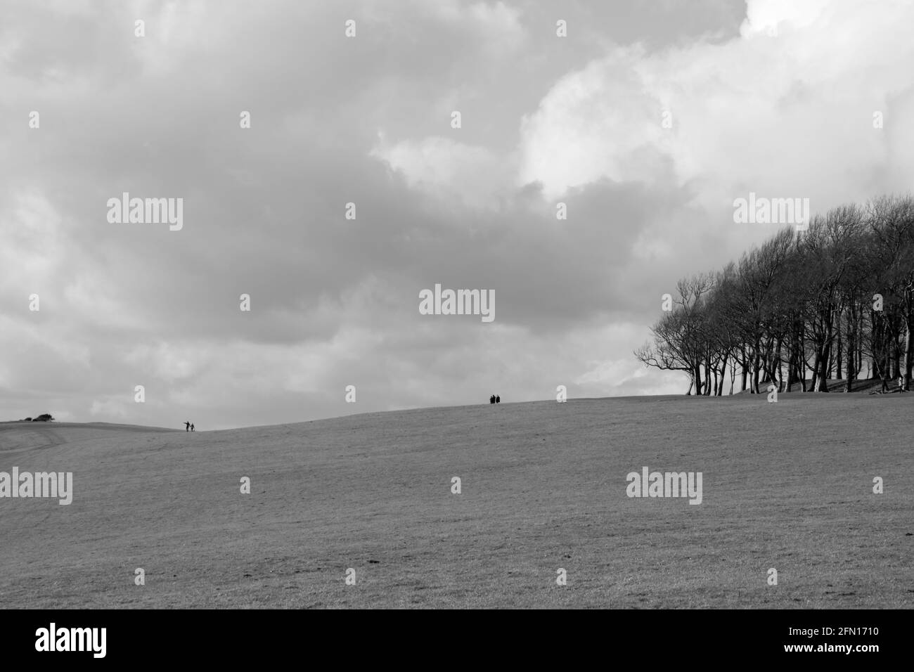 Anello di Chanctonbury sul South Downs, Sussex, Inghilterra, Regno Unito Foto Stock