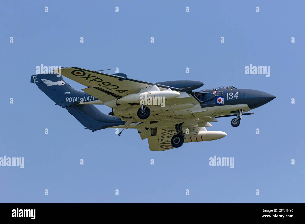 Sea Vixen Foto Stock