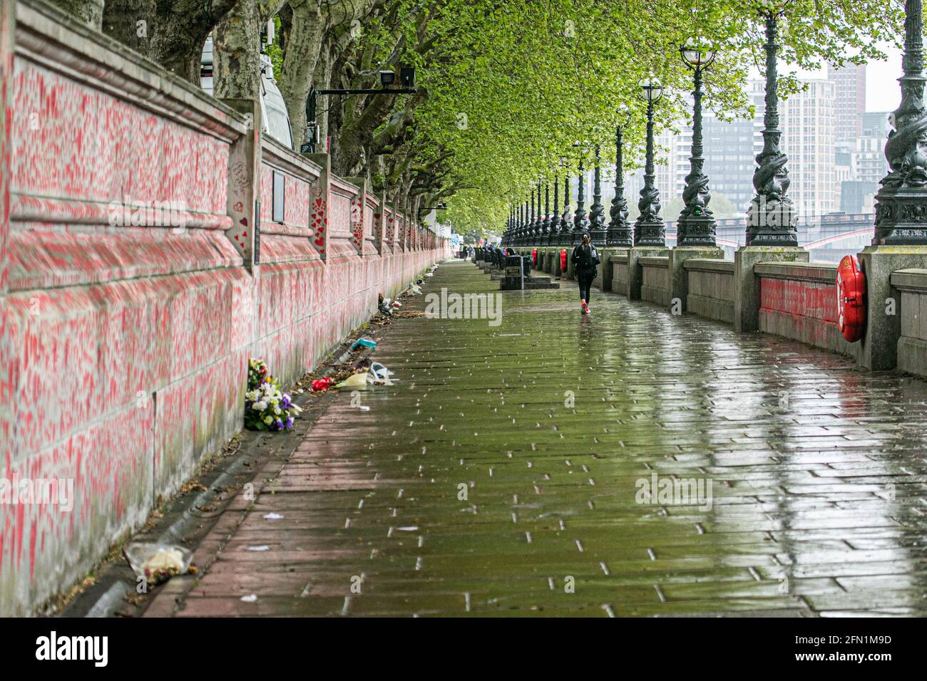 WESTMINSTER LONDRA 13 maggio 2021. Il muro dei cuori al National Covid Memorial Wall lungo l'argine del Tamigi dedicato alle famiglie in lutto per Justice UK. Il primo ministro Boris Johnson ha annunciato di tenere un’indagine pubblica indipendente che si terrà nel 2022 sulla gestione da parte del governo della pandemia del coronavirus che ha causato 150,000 vittime e di nominare un presidente e dei panelisti. Credit amer Ghazzal/Alamy Live News Foto Stock