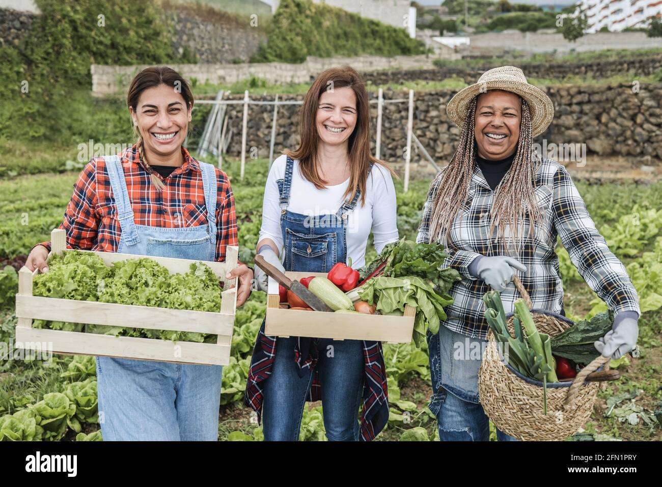 Donne multirazziali che tengono scatole di legno con verdure biologiche fresche - Focus principale sui volti Foto Stock