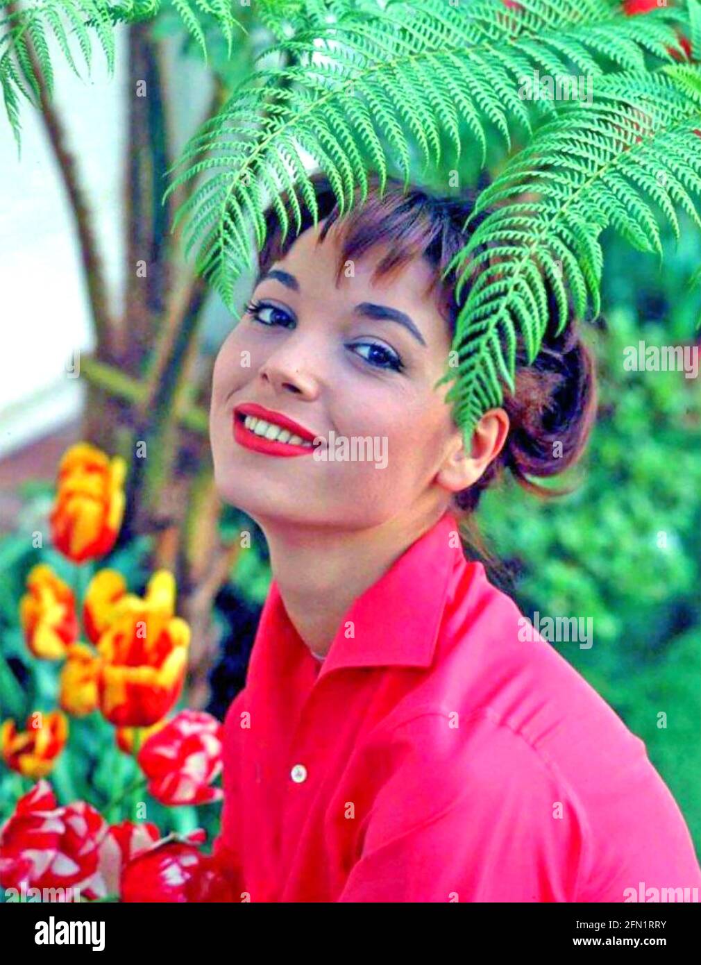 ELSA MARTINELLI (1935-2017) attrice cinematografica italiana e modello di moda 1958 Foto Stock