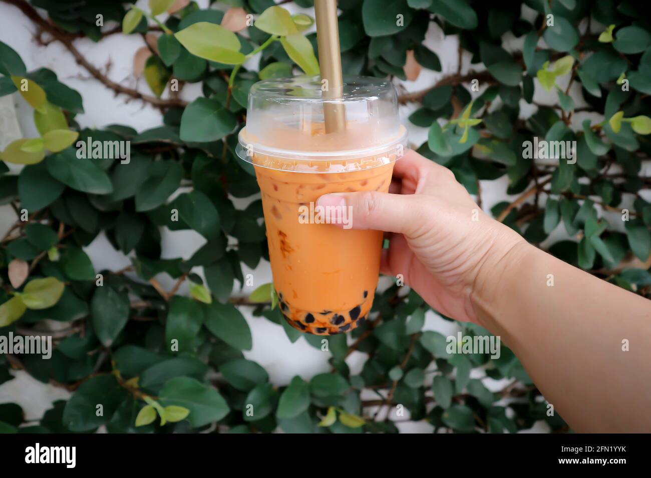 tè al latte o tè thailandese o tè a bolle per servire Foto Stock