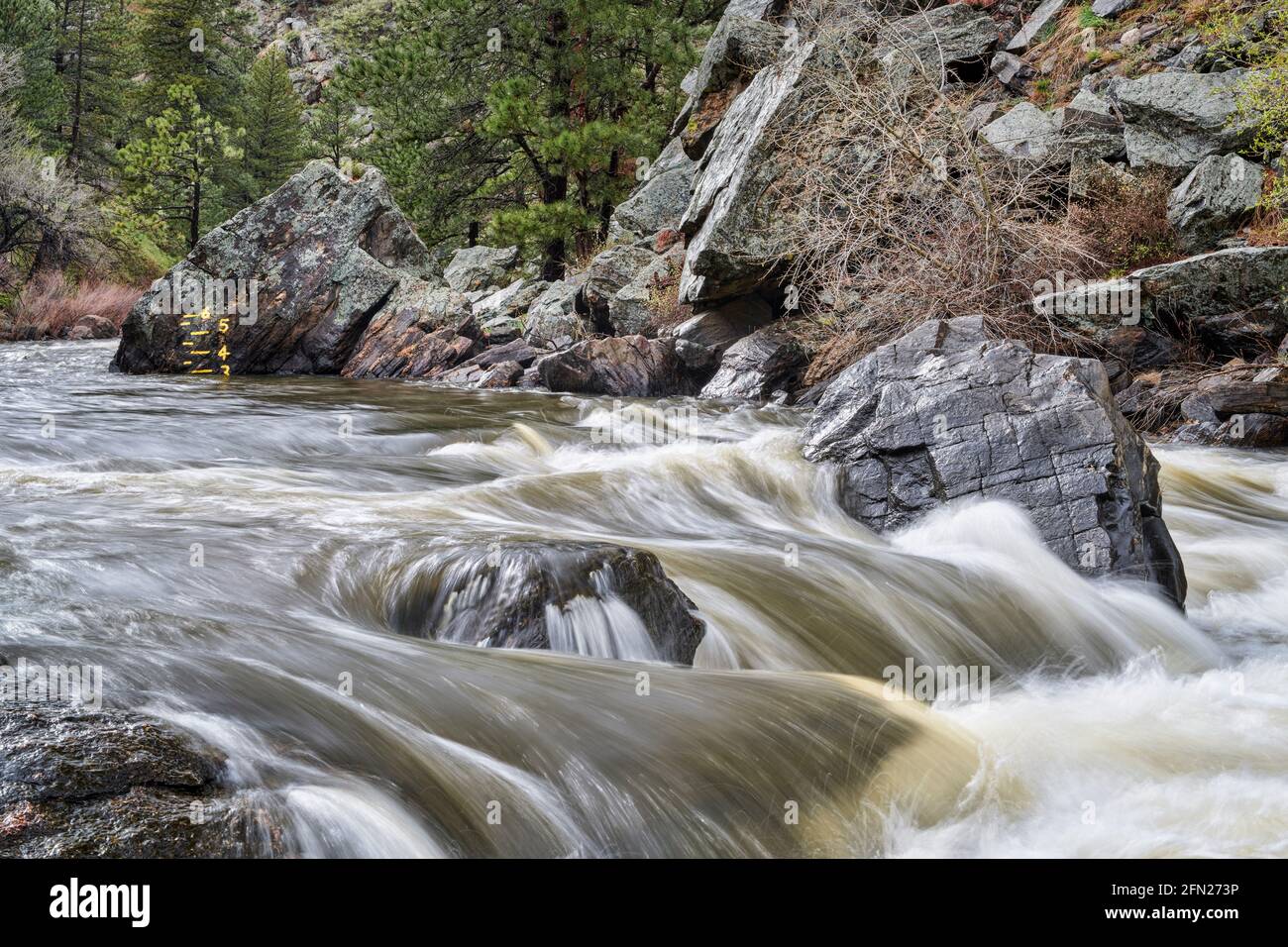 indicatore del fiume per kayak e ratteri sul fiume Poudre sotto Poudre Park, scenario primaverile con un flusso elevato Foto Stock