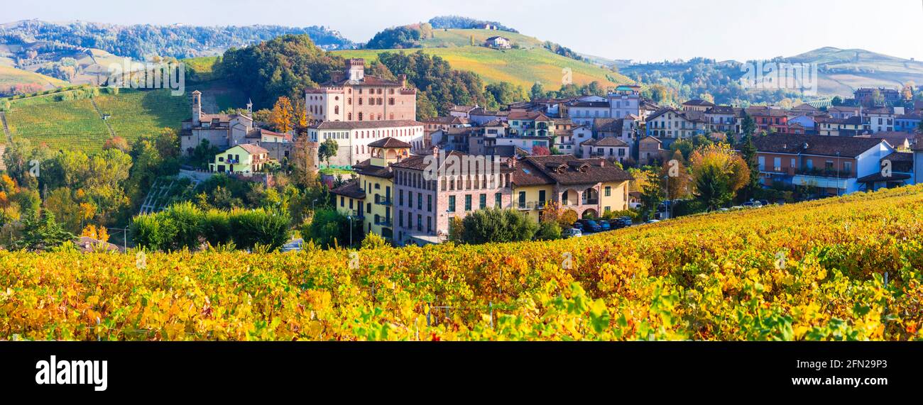 Castello di Barolo e villaggio - famosa regione viticola d'Italia Piemonte (Piemonte). Vigneti paesaggio panoramico Foto Stock