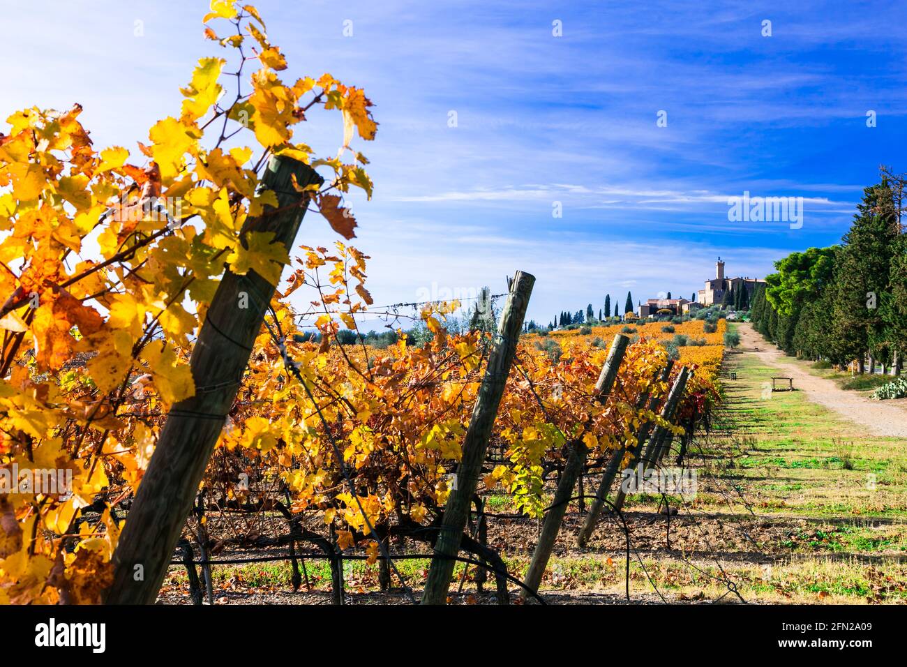 Paesaggio autunnale. Campagna della Toscana. Vigneti dorati e Castello di Banfi. Italia Foto Stock Paesaggio autunnale. Campagna della Toscana. Vigneti dorati e Castello di Banfi. Italia Foto Stock