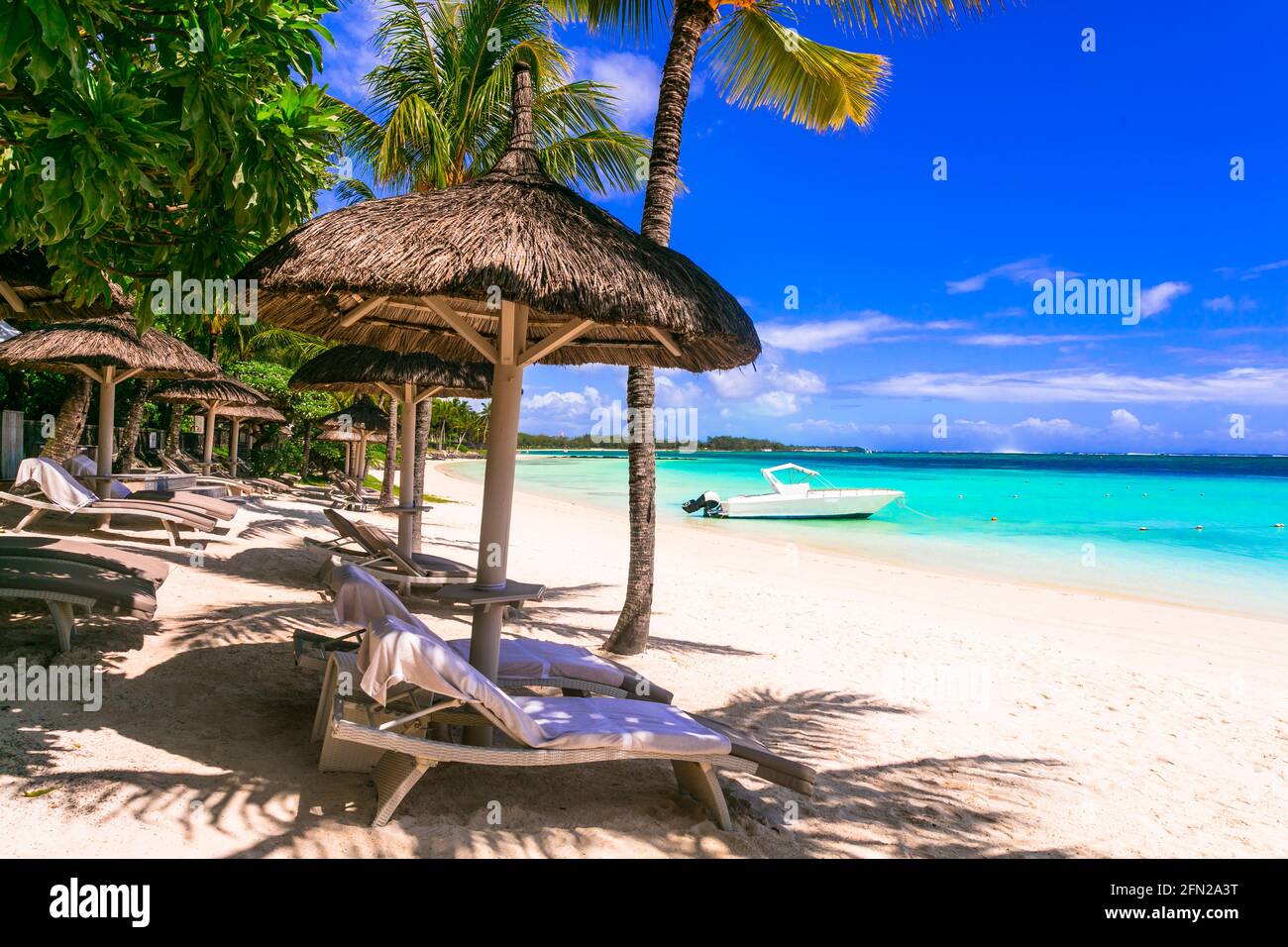 Vacanza tropicale, rilassante scenario balneare con sedie a sdraio sotto palme e ombrelloni Foto Stock