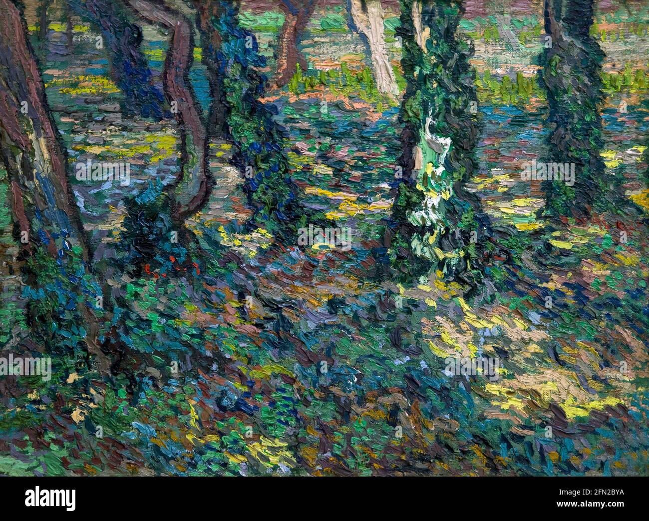 Trunks di albero con Ivy, Trunks di alberi con Ivy, Vincent van Gogh, 1889, Museo Kroller-Muller, Parco Nazionale di Hoge Veluwe, Otterlo, Paesi Bassi, Europa Foto Stock