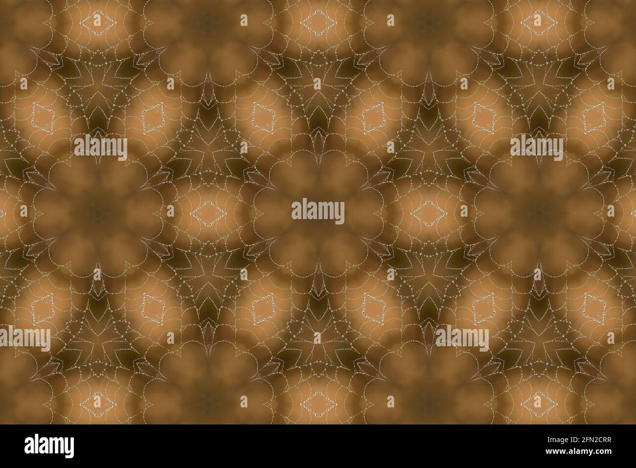 Astratto senza giunture Spider web motivi geometrici Kaleidoscope Foto Stock