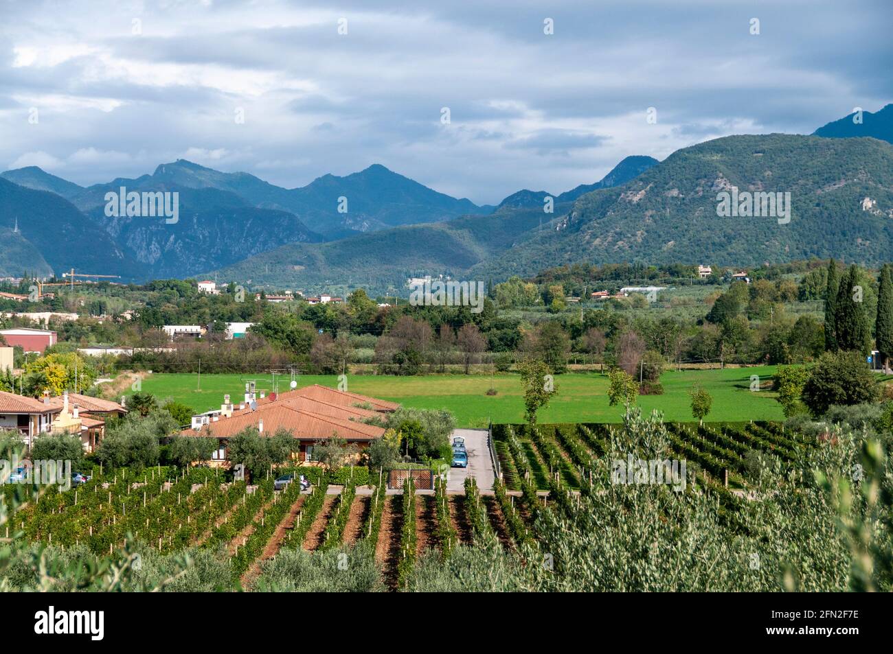 I vigneti e l'estremità meridionale delle Alpi Italiane sul versante occidentale del Lago di Garda, nel nord Italia. Foto Stock