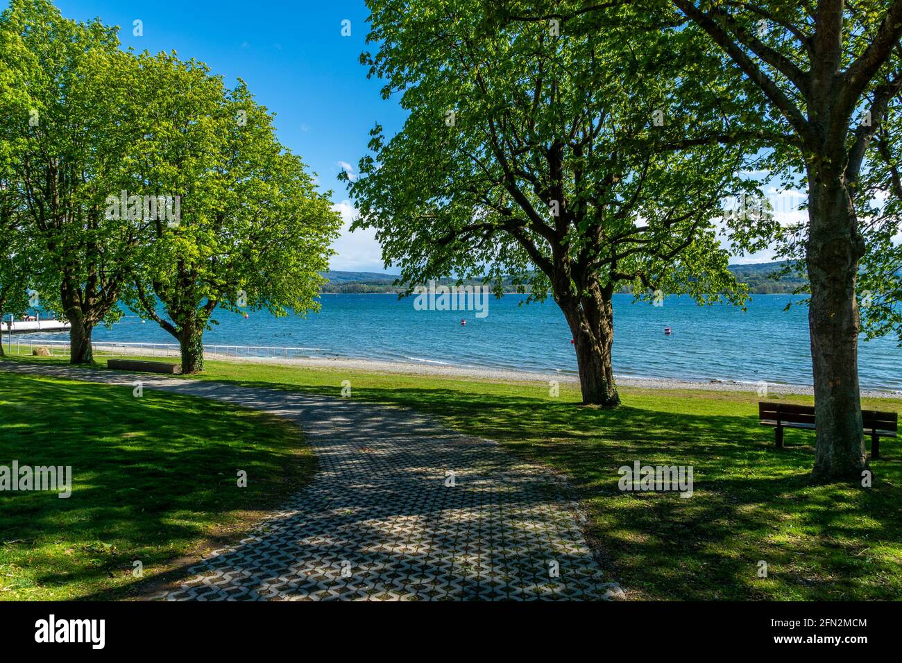 Lago di Costanza in estate con vista sul cielo blu del lago Foto Stock