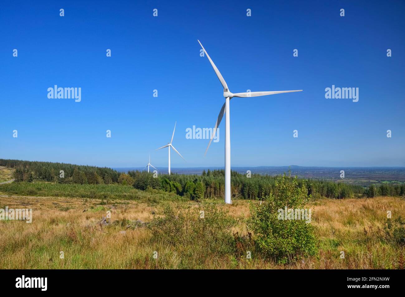 Irlanda, Contea di Roscommon, Strokestown, Sliabh Bawn Windfarm e Amenity area, vista generale di una zona della fattoria a vento con 3 turbine. Foto Stock