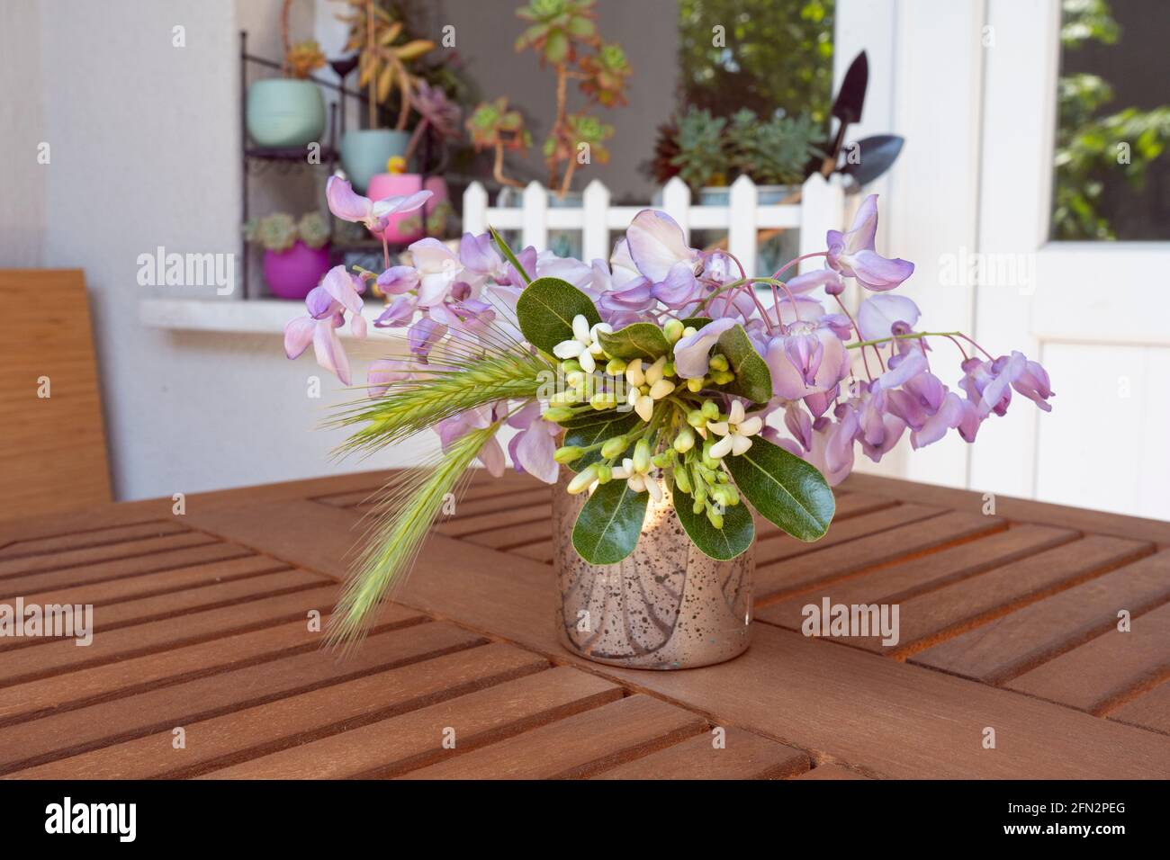 Bel bouquet di glicine su un tavolo di legno su un balcone. Come l'estate. Succulenti sullo sfondo. Foto Stock