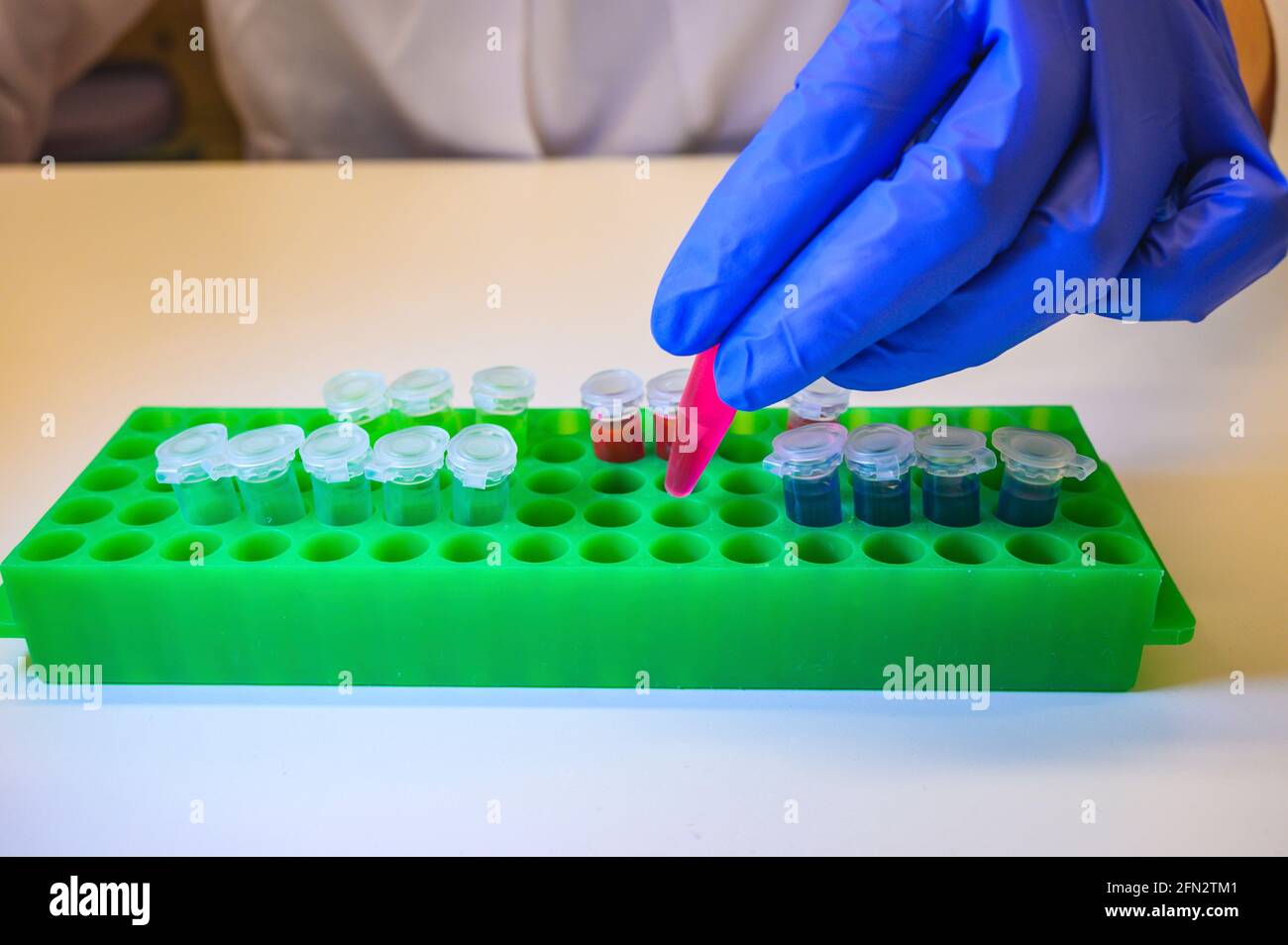 Lo scienziato ha preso la soluzione chimica rosa nel tubo eppendorf rack su fondo bianco per la ricerca clinica Foto Stock