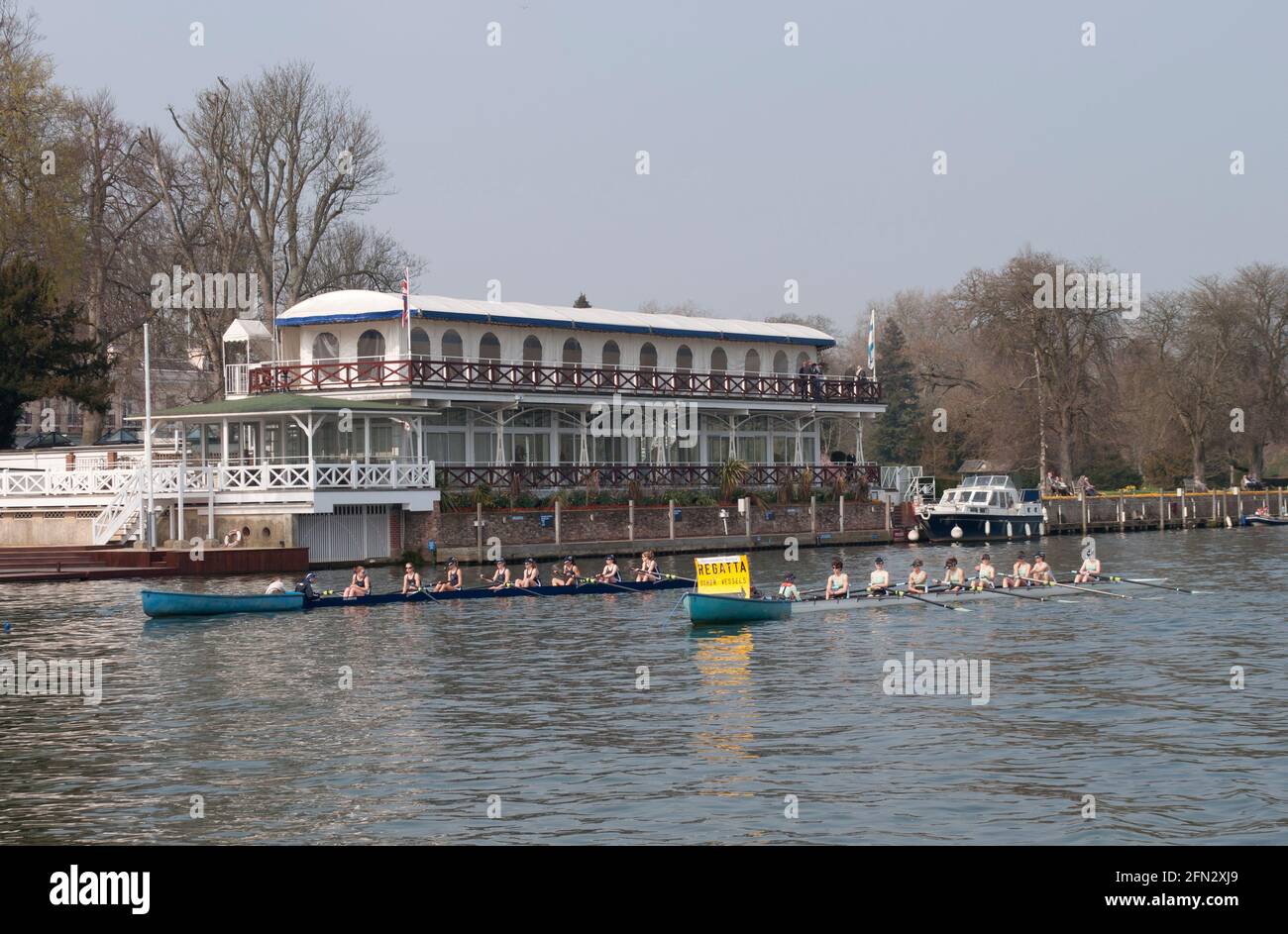 Regata squadre Henley sul Tamigi Foto Stock