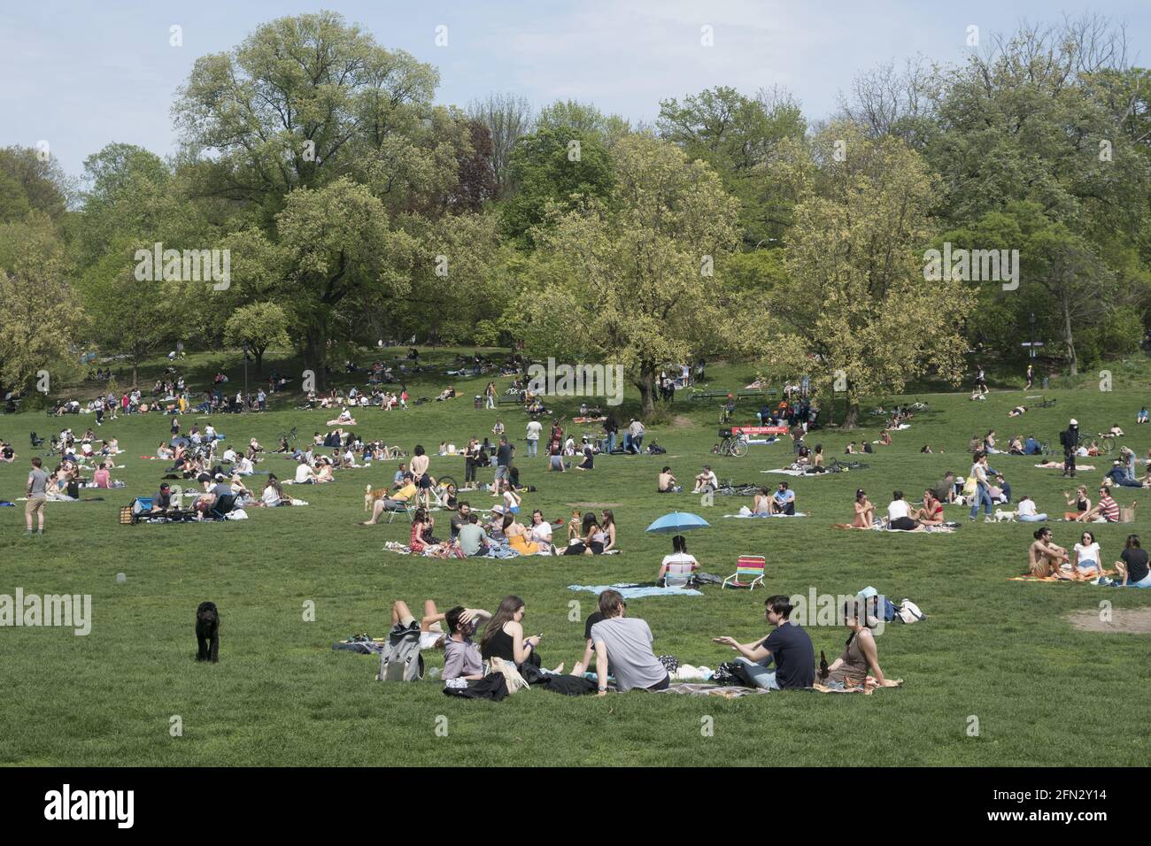 Gruppi di persone socialmente distanziati e godersi una calda giornata di primavera nel Prospect Park per oltre un anno nella pandemia Covid-19 a Brooklyn, New York. Foto Stock