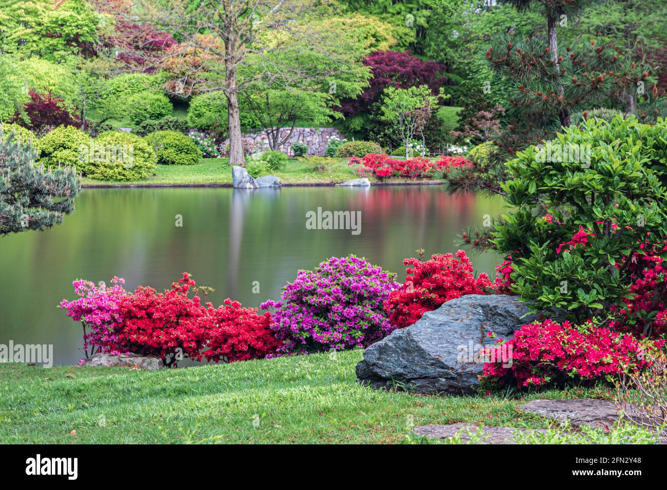 Giardino giapponese, nel Missouri Botanical Garden, St. Louis, Missouri, Stati Uniti. Riflessione di alberi e piante in lago. Fiori rossi e rosa fiancheggiano la riva. Foto Stock