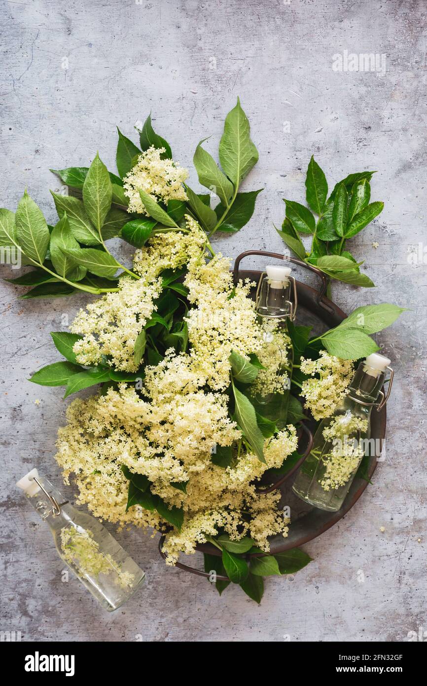 Fiori di ontano freschi in un vassoio di metallo con cordiale in una bottiglia d'annata su sfondo grigio. Vista dall'alto, spazio vuoto Foto Stock