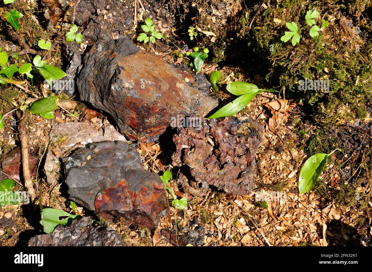 Scorie di colore brillante tra le rovine delle vecchie opere di ferro, Mells , Fussells 'Lower Works.This è un sito biologico di interesse scientifico speciale, in Foto Stock