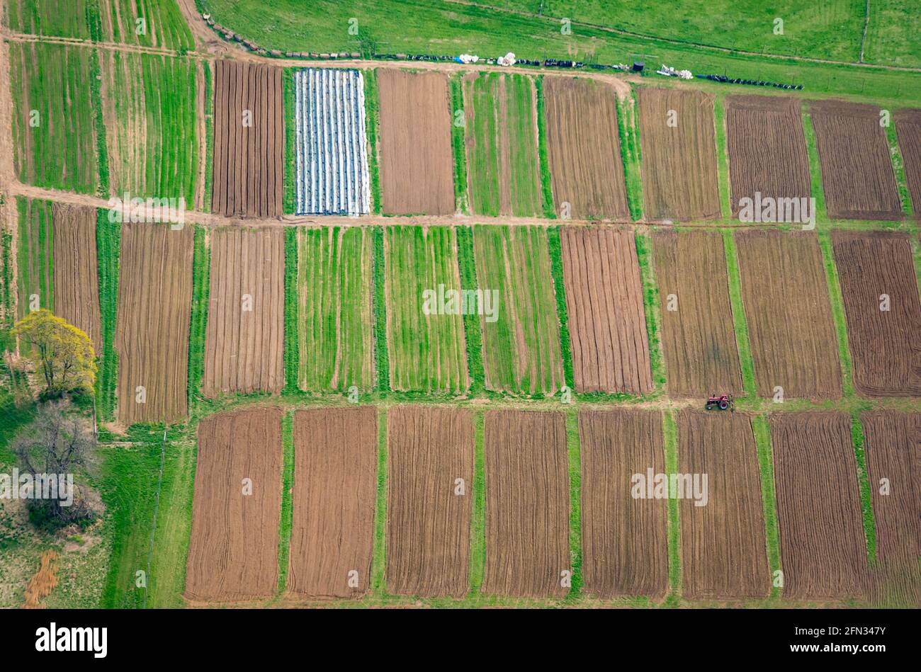 Vista aerea dall'alto dell'azienda agricola con trattore Foto Stock