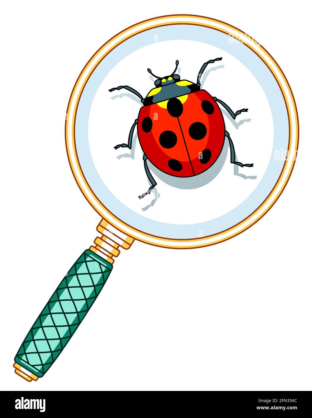 Lente d'ingrandimento e illustrazione ladybug Illustrazione Vettoriale