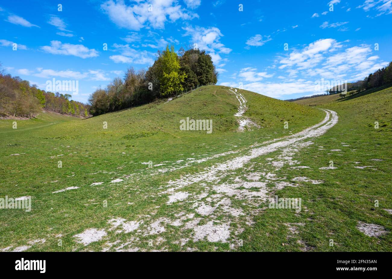 Monarch's Way (ora un sentiero pedonale), il percorso di fuga intrapreso da re Carlo II nel 1651 sulla Arundel Park Estate ad Arundel, West Sussex, Inghilterra, Regno Unito. Foto Stock