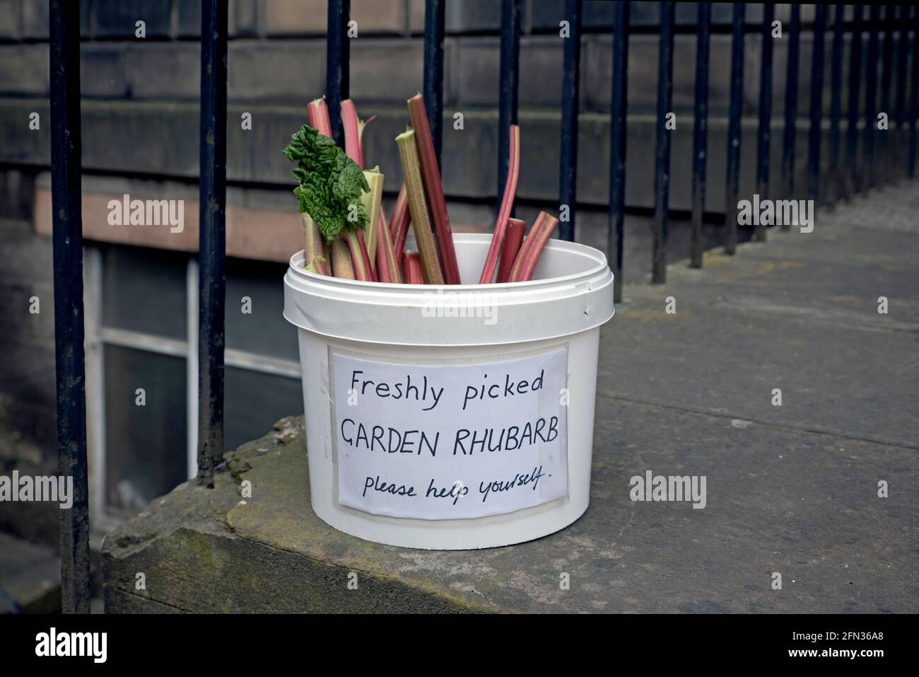 Aiutatevi a liberare il rabarbaro in Dundas Street, Edimburgo, Scozia, Regno Unito. Foto Stock