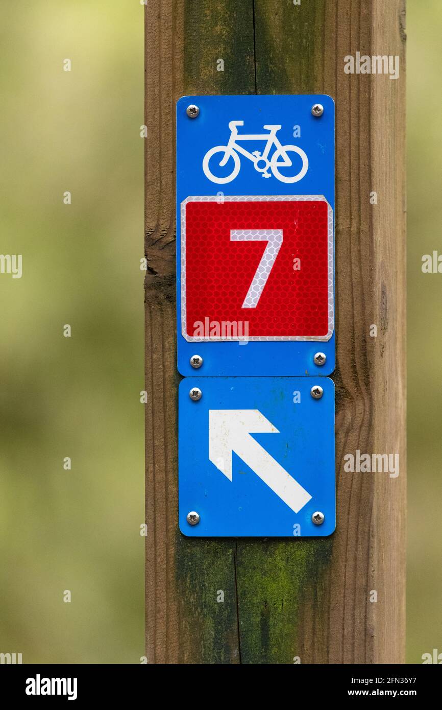 National Cycle Network 7 segno in Queen Elizabeth Forest Park, Loch Lomond e il Trossachs National Park, Aberfoyle, Scozia, Regno Unito Foto Stock