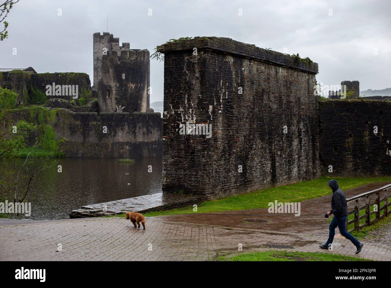 Un uomo cammina il suo cane oltre il castello di Caerphilly il 13 maggio 2021. (PIC di Lewis Mitchell) Foto Stock