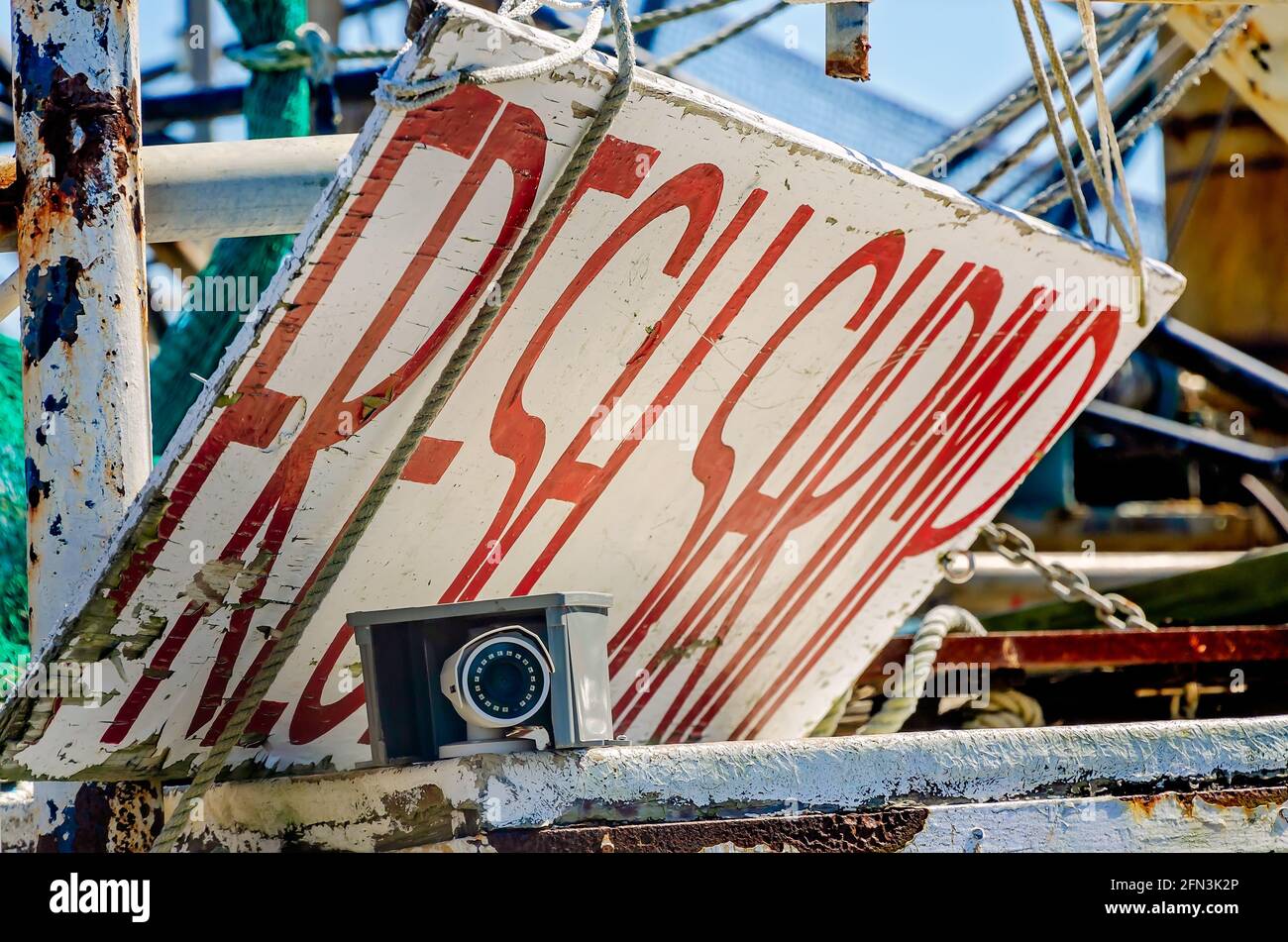 Un cartello di gamberetti freschi è appeso su una barca di gamberetti a Biloxi Small Craft Harbour, 8 maggio 2021, a Biloxi, Mississippi. Foto Stock