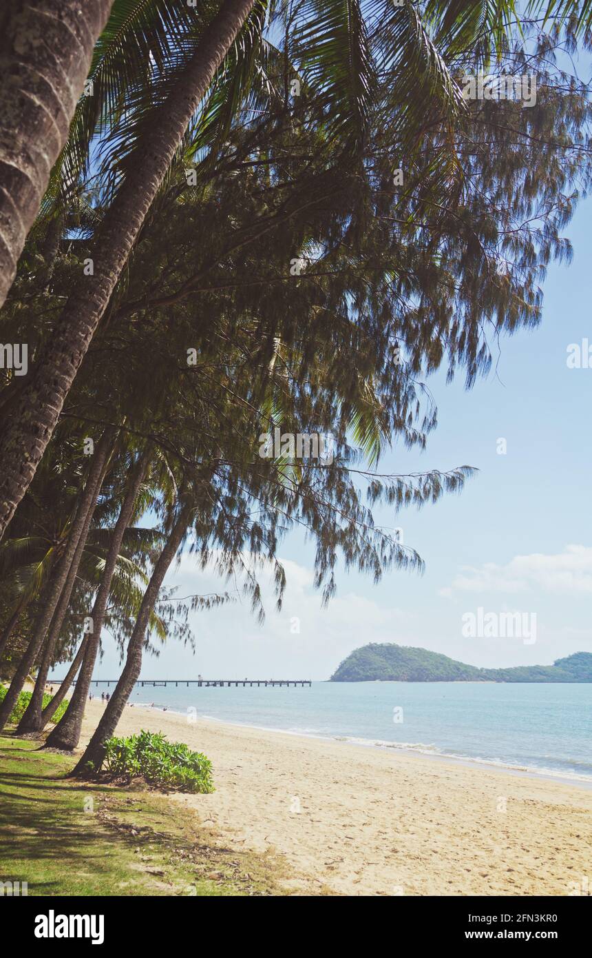 Vista sull'oceano lungo una spiaggia tranquilla a Palm Cove, Queensland, Australia. Foto Stock