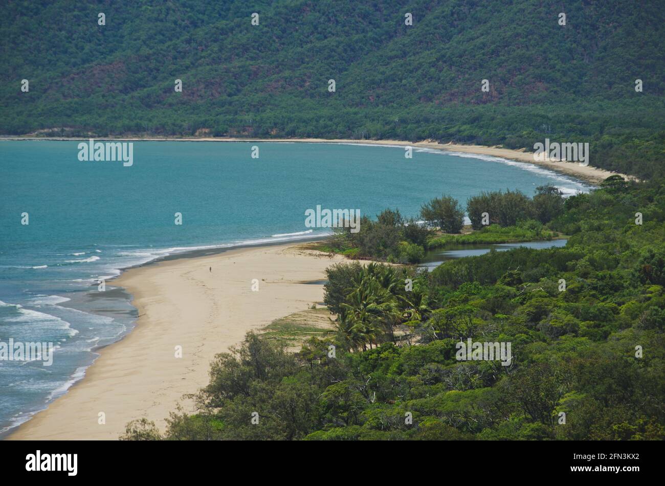 La foresta pluviale incontra l'oceano nel tropicale North Queensland. Foto Stock