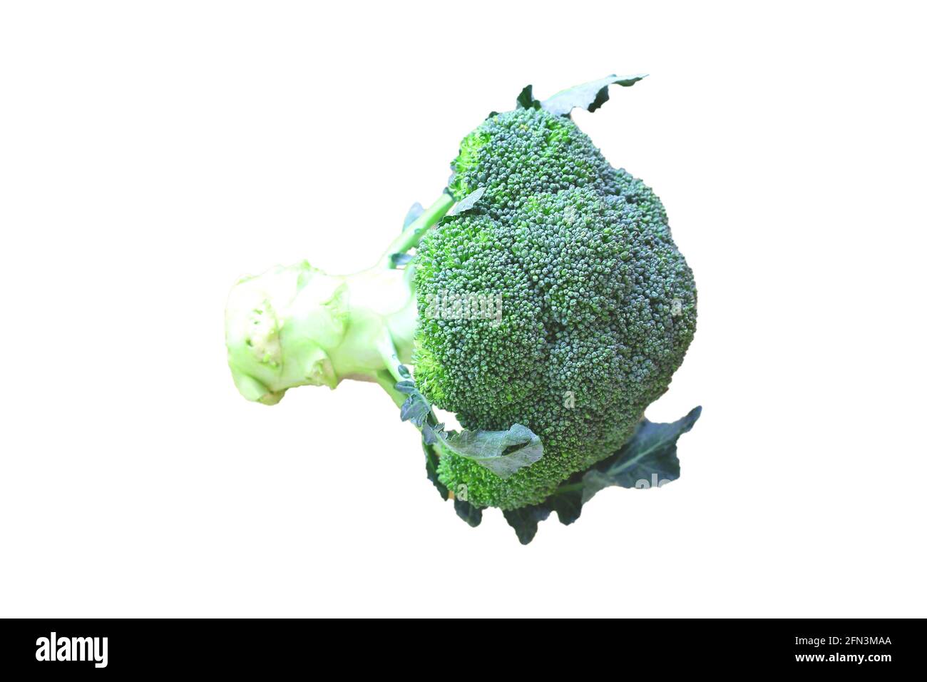 broccoli isolati su sfondo bianco per l'uso come risorsa di immagine. Foto Stock