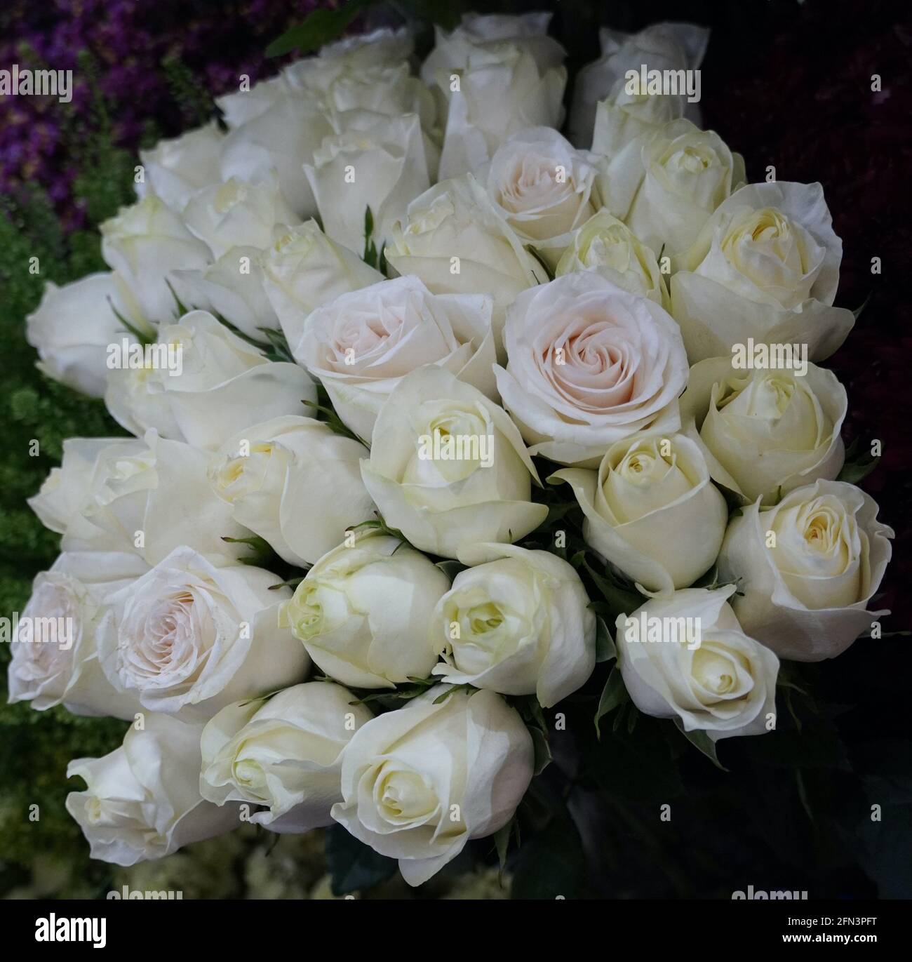 Bianco Roses Sfondo. Varietà di rose bianche in bouquet bellissimo. Bouquet  nuziale di rosa bianca in colori vivaci nel negozio di fiori sul mercato  Foto stock - Alamy