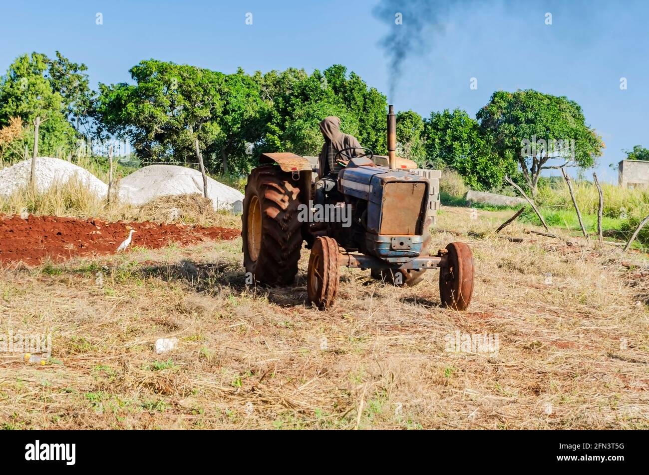 L'agricoltore completamente coperto sotto una cappa nel caldo, luminoso sole tropicale, con una mano sulla ruota di stenatura, e l'altra appoggiata sul sedile a. Foto Stock