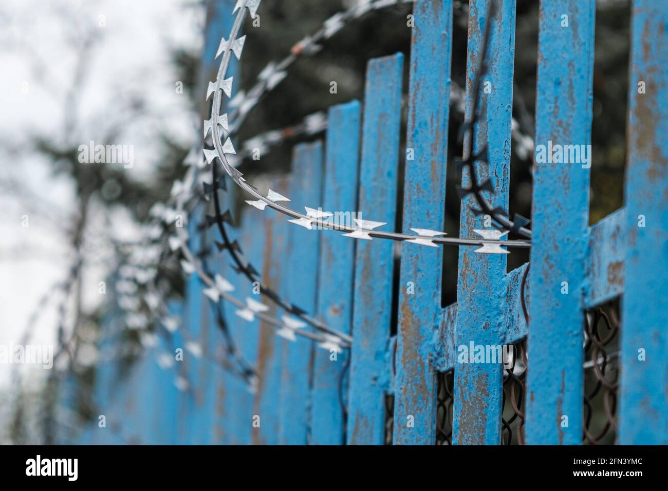 Una recinzione blu con filo spinato vicino alla prigione o all'ospedale mentale. Foto Stock
