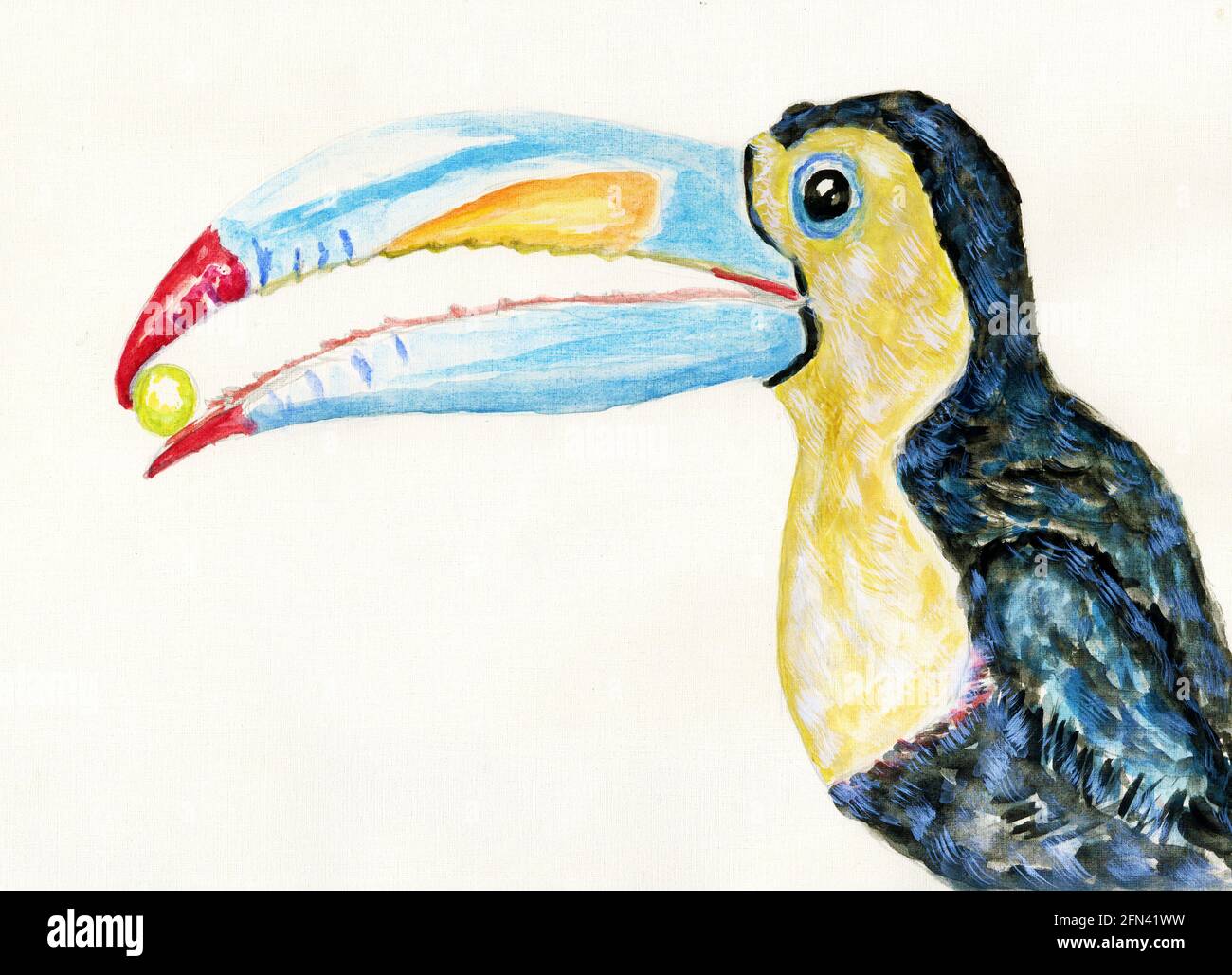 Cartoon toucan uccello, uccello tropicale mano illustrazione disegnata. Foto Stock