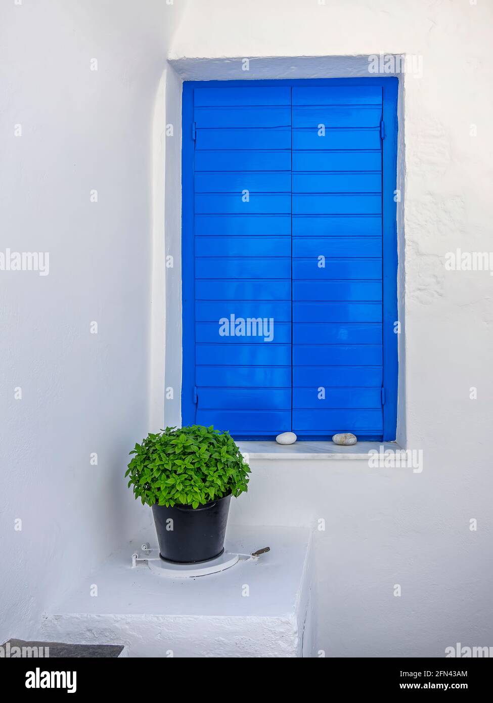 Blu-Bianco, segno verde. Un'altra immagine del Mediterraneo. Un duetto 'classico' di vivide finestre blu - pareti bianche e piante verdi di basilico. Foto Stock