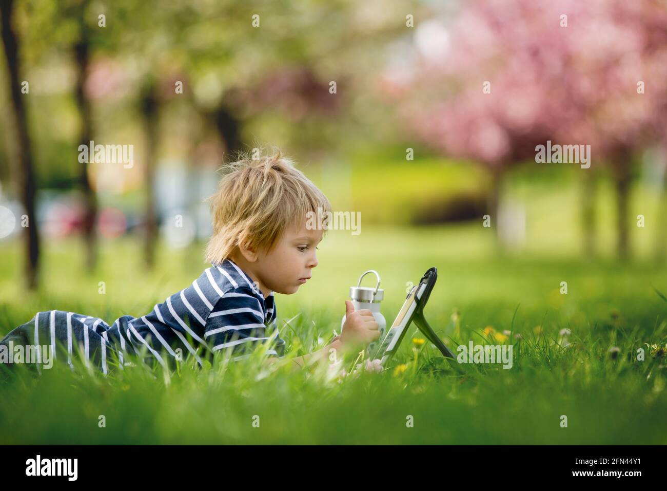 Bel bambino, biondo ragazzo, giocando sul tablet nel parco, bottiglia d'acqua accanto a lui Foto Stock