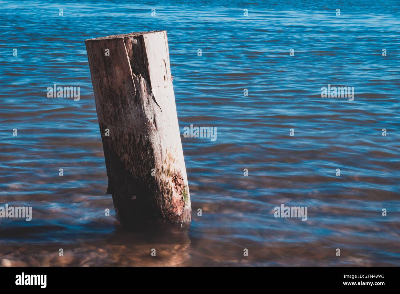 palo di legno lavato dalle acque del lago con le montagne sullo sfondo Foto Stock