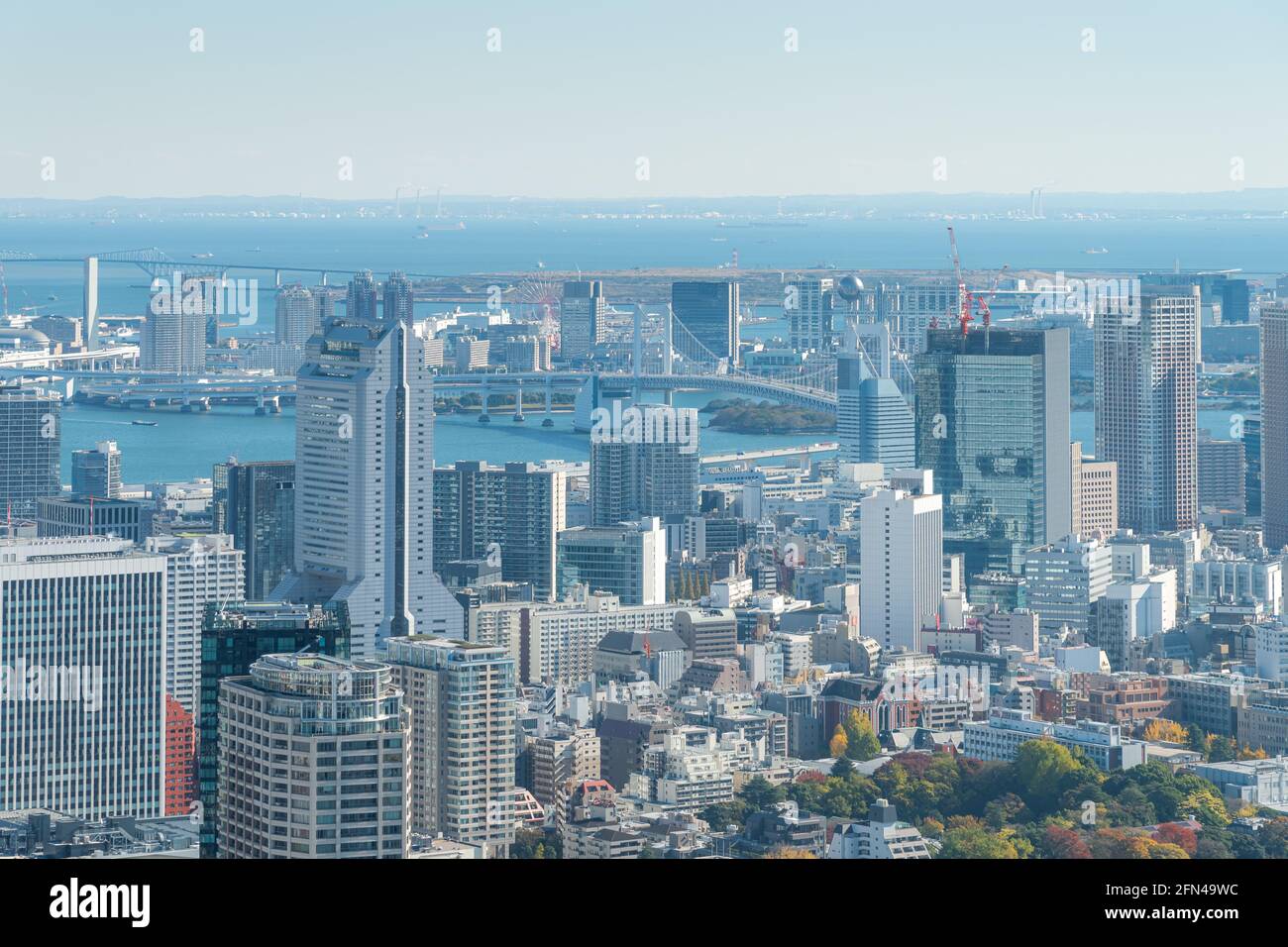 Il paesaggio urbano di Tokyo con il ponte Odaiba Rainbow e la vista della baia di Tokyo Foto Stock