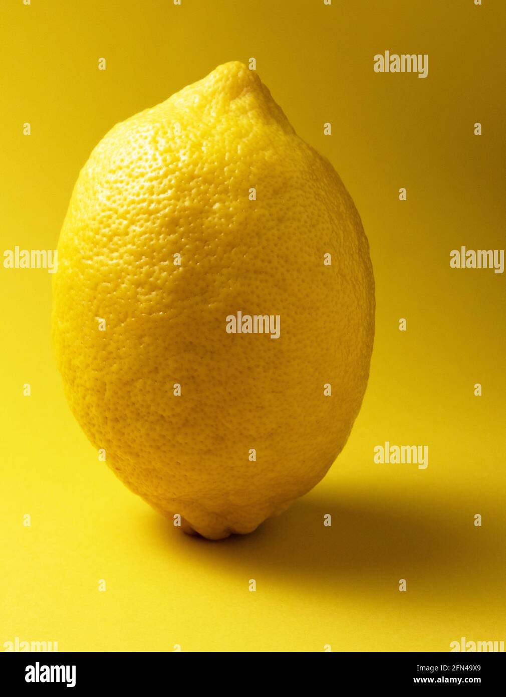 Closeup limone maturo isolato su sfondo giallo. Foto Stock