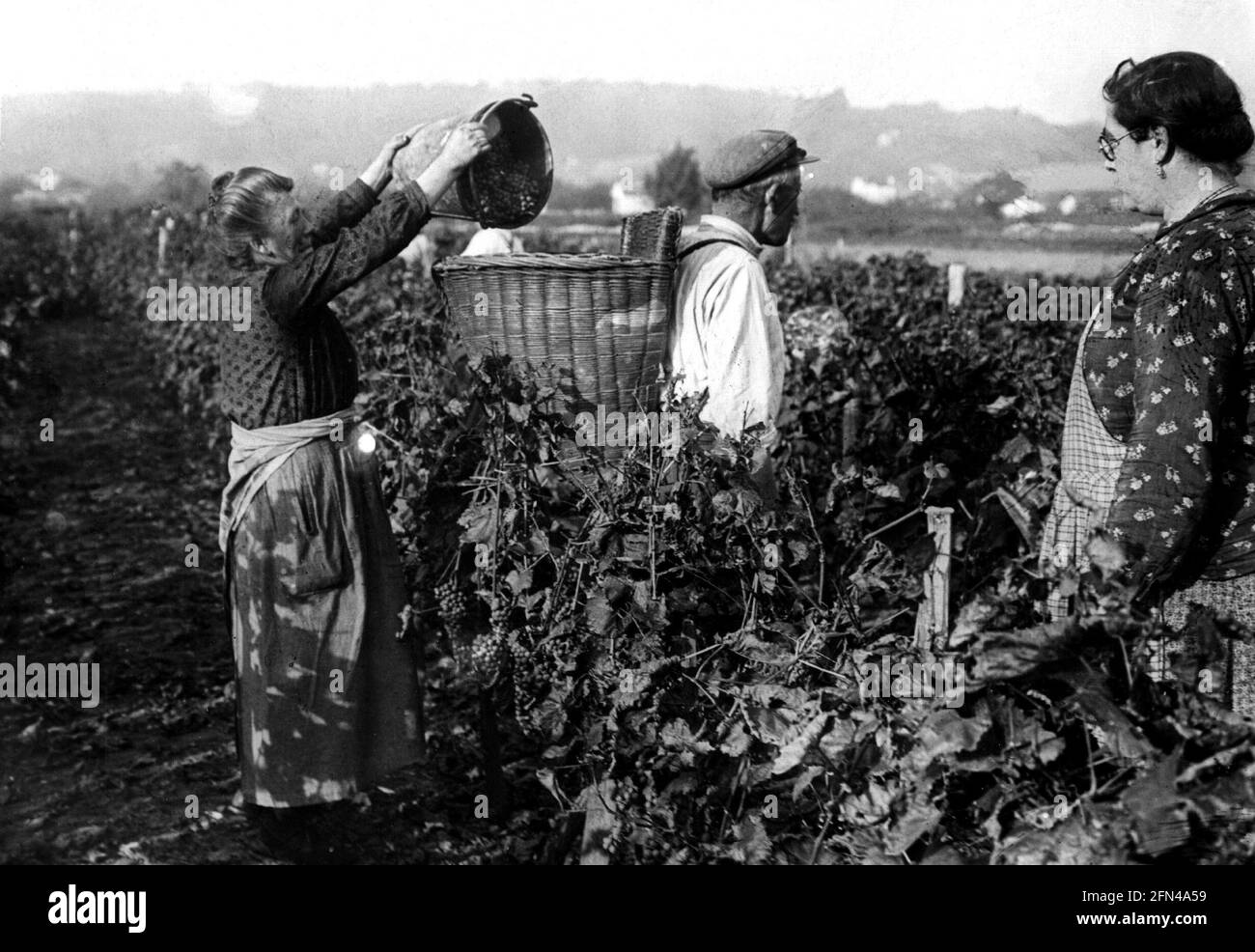 Agricoltura, Francia, agricoltori durante la vendemmia, 1936, DIRITTI-AGGIUNTIVI-LIQUIDAZIONE-INFORMAZIONI-NON-DISPONIBILI Foto Stock