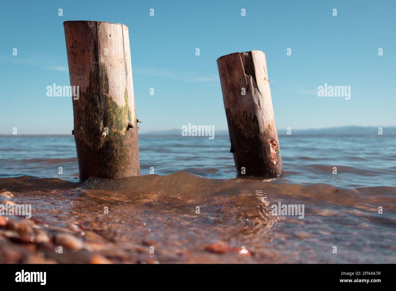 due pali di legno lavati dalle acque del lago con le montagne sullo sfondo Foto Stock