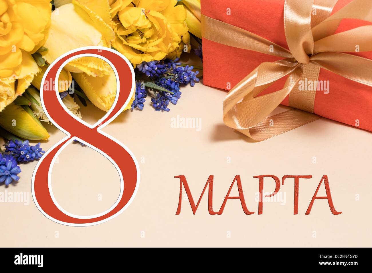Tulipani e confezione regalo con iscrizione in russo 8 marzo. Biglietto d'auguri su sfondo beige Foto Stock