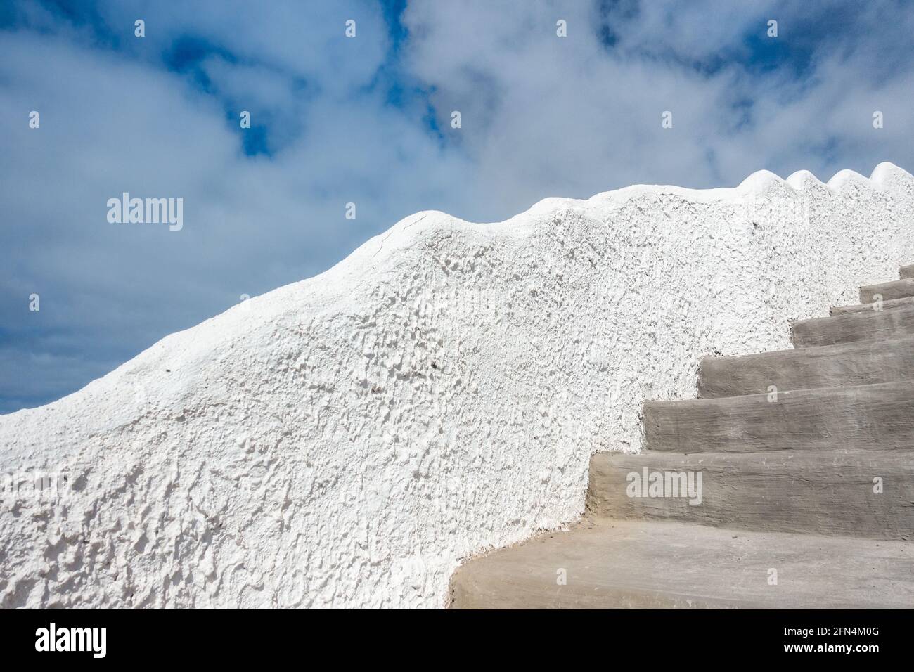 Due cani in attesa del proprietario all'esterno del negozio.gg Foto Stock