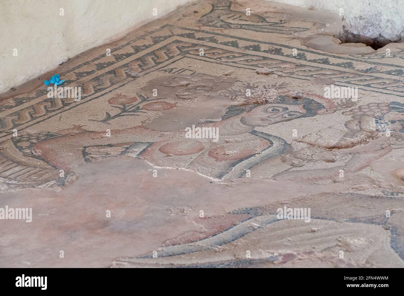 Scena di caccia da 'oltre il Nilo' Mosaico (dettaglio) Nella casa del Nilo al Parco Nazionale di Zippori la città Di Zippori (Sepforis) un pe bizantino romano Foto Stock