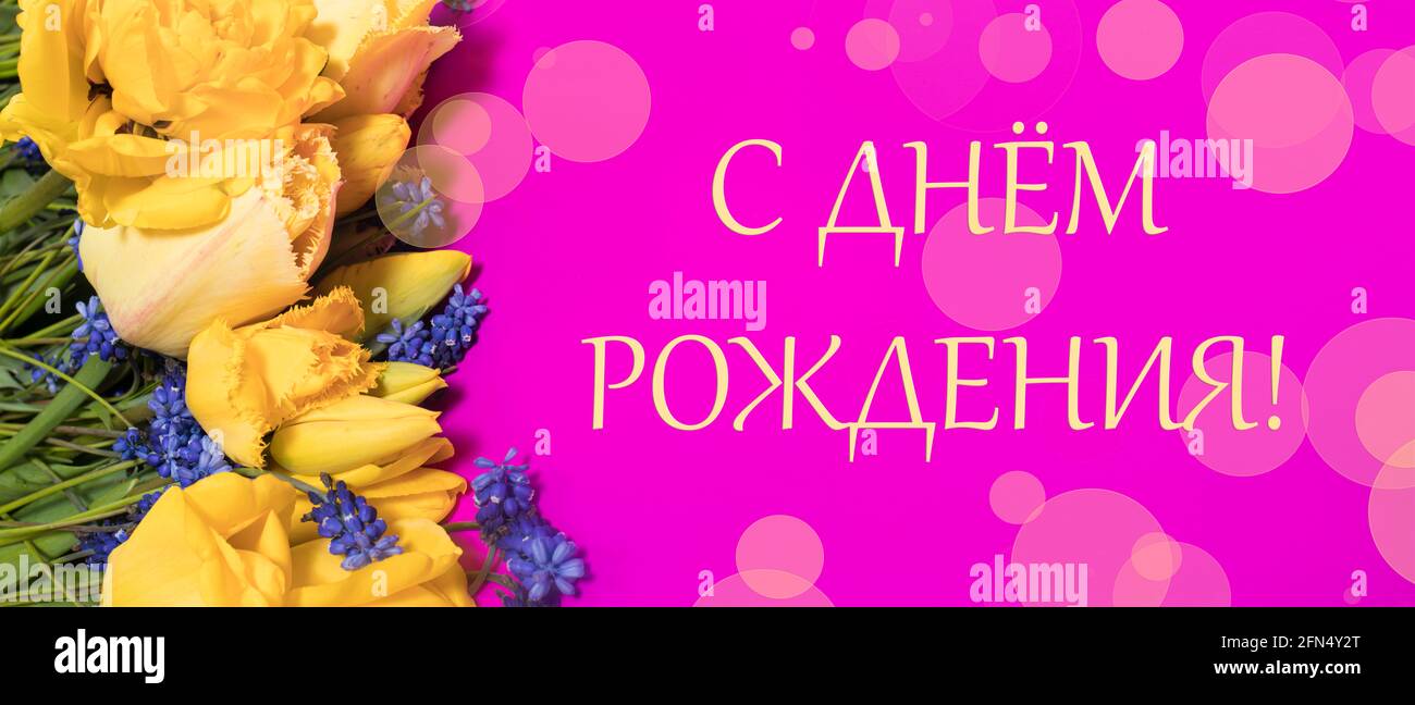 Lungo Banner Orizzontale Biglietto Di Auguri In Russo Buon Compleanno Con Tulipano Giallo Fiori In Rosa Foto Stock Alamy