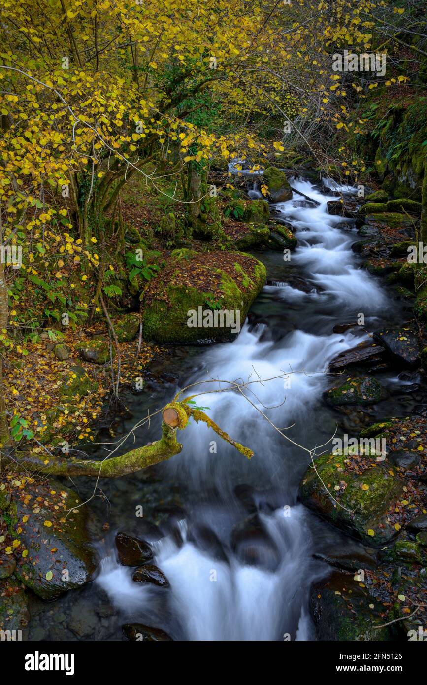 Fiume Toran e cascata Saut d'Arbaet, in autunno, nella Valle del Toran (Valle d'Aran, Catalogna, Spagna, Pirenei) ESP: Río de Toran y cascada en otoño Foto Stock